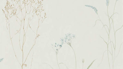 Farne Grasses 216486